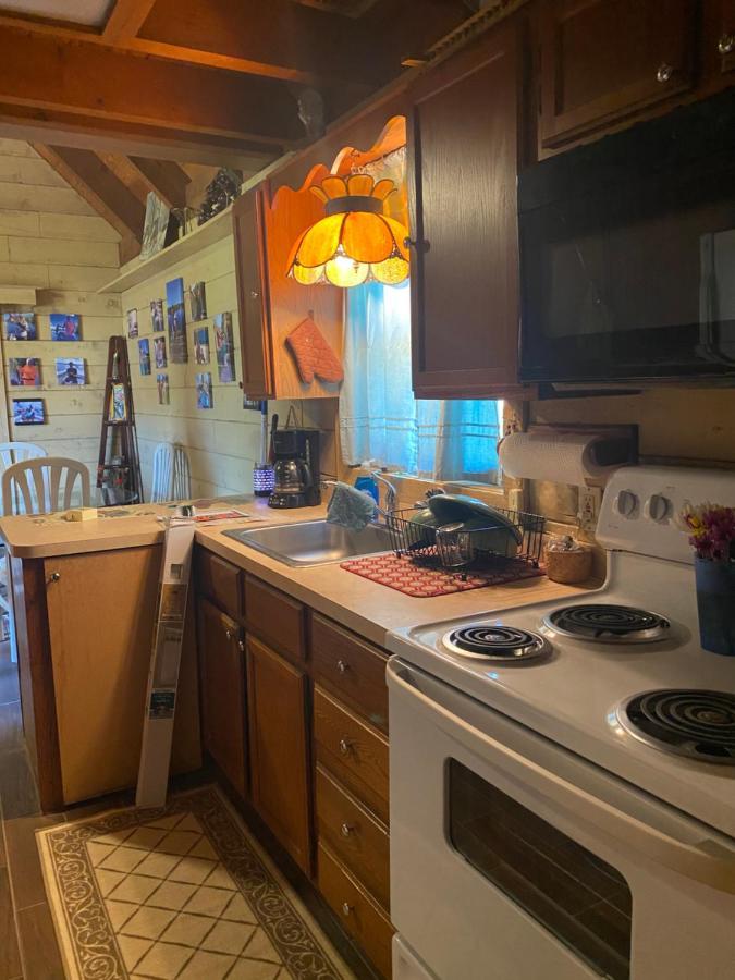 Log Harbor Cabins Okeechobee Ngoại thất bức ảnh